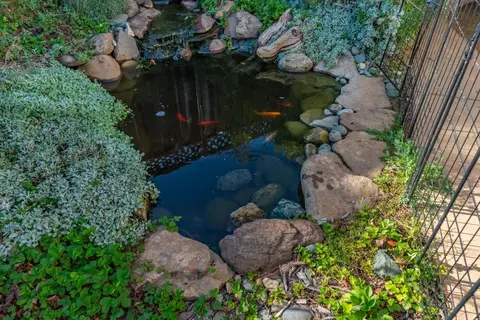 Other - 724 Wisteria Dr, Gilroy, CA 95020 photo 8 of 8