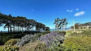 View/Area - 117 Seascape Resort Dr, Aptos, CA 95003 photo 1 of 6