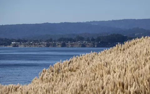 View/Area - 117 Seascape Resort Dr, Aptos, CA 95003 photo 5 of 6