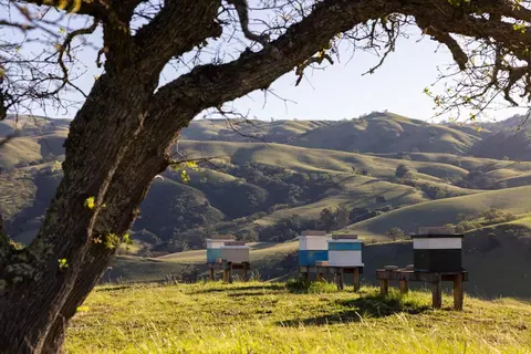 Other - 28000 Underwood Rd, Salinas, CA 93908 photo 5 of 17