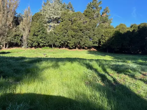 502 Olive Springs Rd, Soquel, CA 95073 photo 5