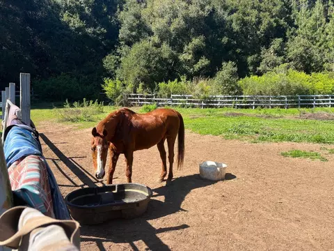 502 Olive Springs Rd, Soquel, CA 95073 photo 3
