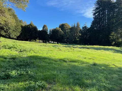 502 Olive Springs Rd, Soquel, CA 95073 photo 6