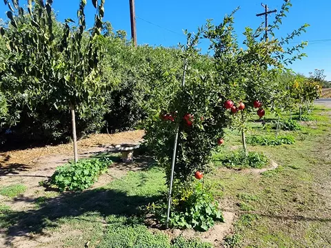 Other - 3719 N Hart Rd, Modesto, CA 95358 photo 10 of 13