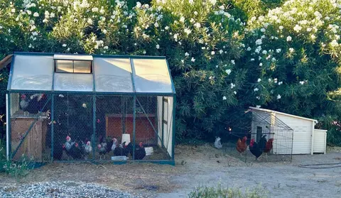 Exterior - 3719 N Hart Rd, Modesto, CA 95358 photo 6 of 21