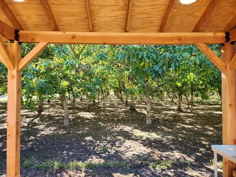 Other - 3719 N Hart Rd, Modesto, CA 95358 photo 12 of 13