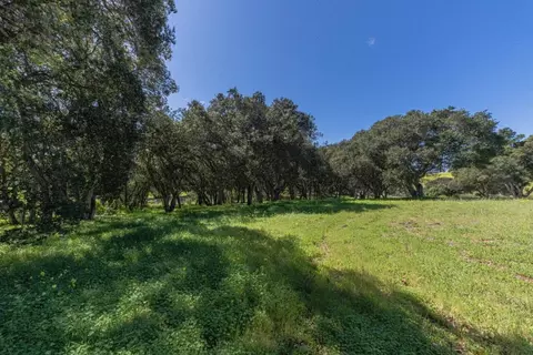 16787 Blackie Rd, Salinas, CA 93907 photo 16