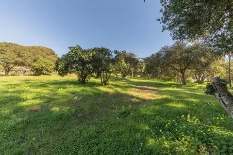 16787 Blackie Rd, Salinas, CA 93907 photo 4