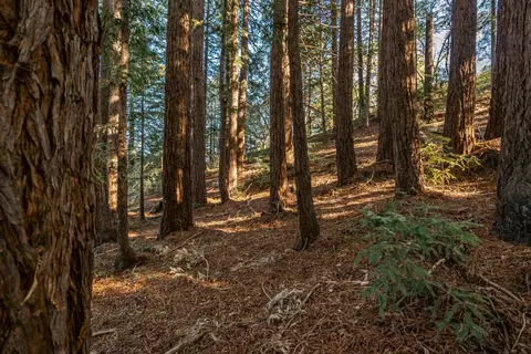 Other - 1130 Hidden Valley Rd, Soquel, CA 95073 photo 12 of 13