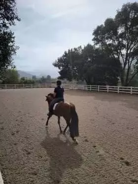 Other - 12170 Calle Uvas, Gilroy, CA 95020 photo 6 of 11