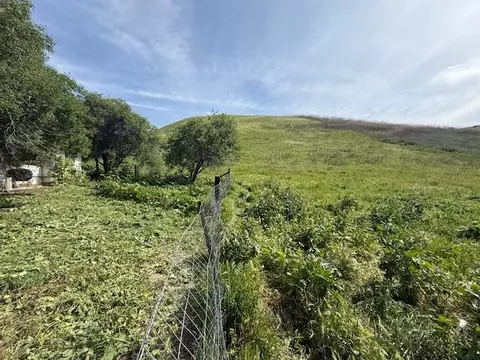 Exterior - 2118 Old Calaveras Rd, Milpitas, CA 95035 photo 13 of 18