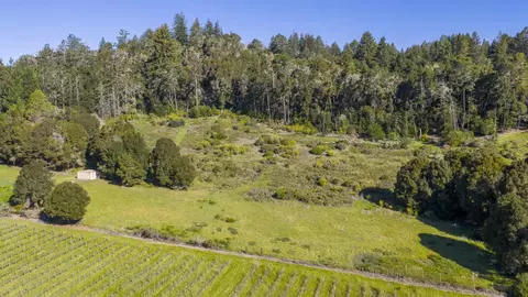 1073 Larsen Rd, Aptos, CA 95003 photo 11