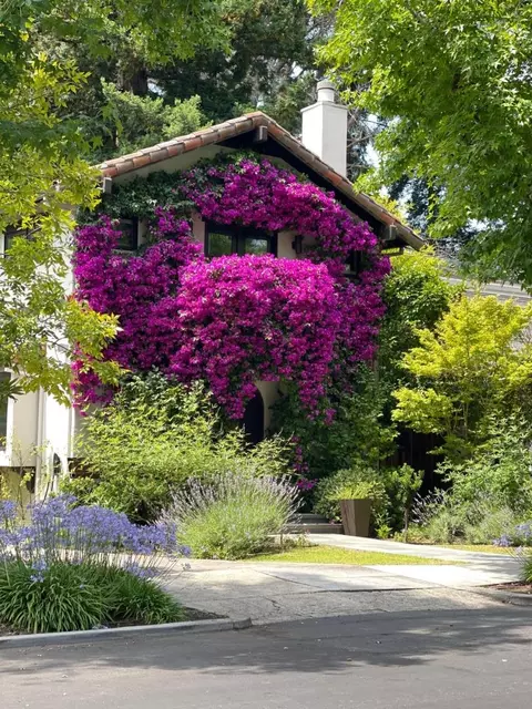 850 Guinda St, Palo Alto, CA 94301