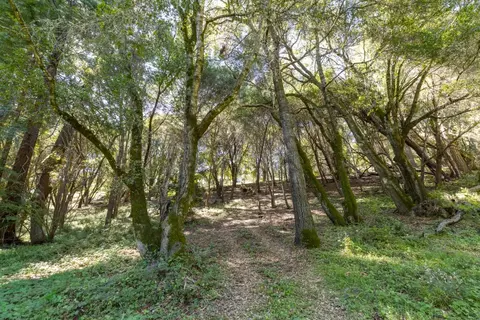 4444 Trout Gulch Rd, Aptos, CA 95003 photo 5