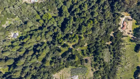 4444 Trout Gulch Rd, Aptos, CA 95003 photo 54