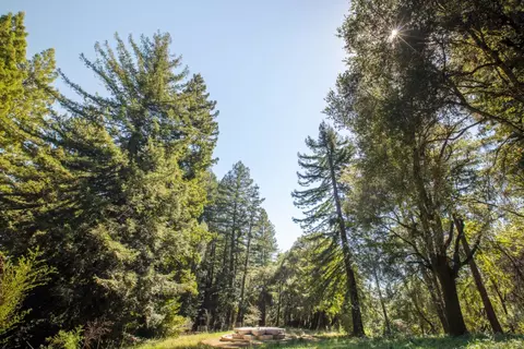 4444 Trout Gulch Rd, Aptos, CA 95003 photo 17
