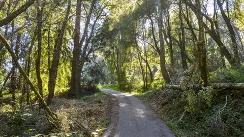 4444 Trout Gulch Rd, Aptos, CA 95003 photo 3
