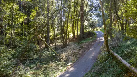 4444 Trout Gulch Rd, Aptos, CA 95003 photo 4