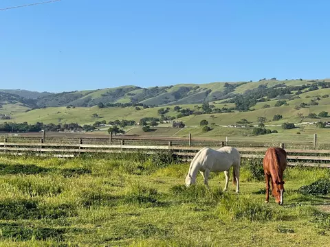 Other - 3465 Susie Ln, Gilroy, CA 95020 photo 1 of 20