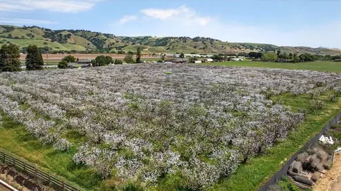 Other - 3465 Susie Ln, Gilroy, CA 95020 photo 19 of 20