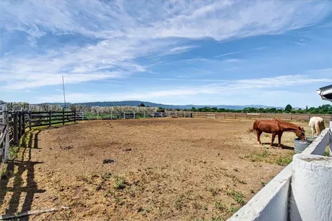 Exterior - 3465 Susie Ln, Gilroy, CA 95020 photo 24 of 38