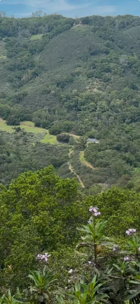 0 O Uvas Rd, Morgan Hill, CA 95037 photo 11