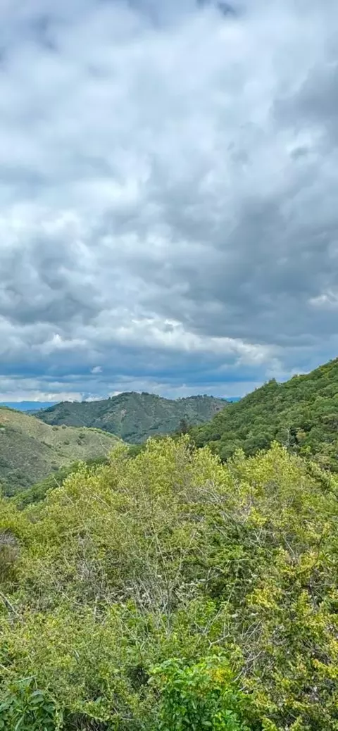 0 O Uvas Rd, Morgan Hill, CA 95037 photo 19