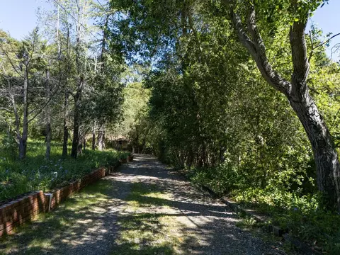 391 Mountain Home Rd, Woodside, CA 94062