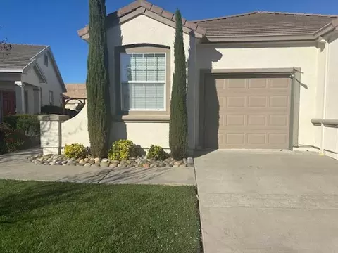 288 Black Amber Way, Brentwood, CA 94513