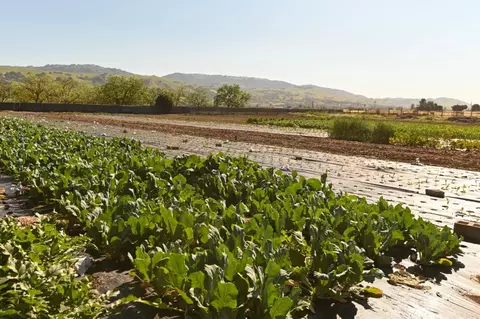 1600 Barrett Ave, Morgan Hill, CA 95037