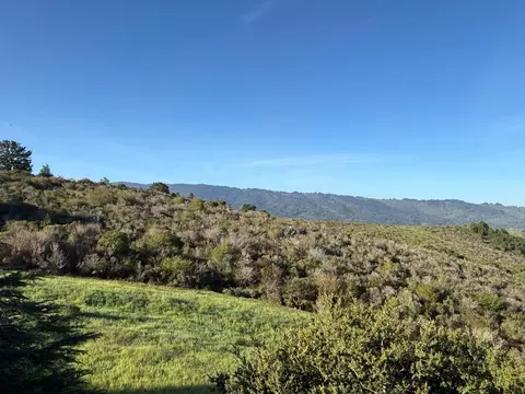 228 Crestview Dr, San Carlos, CA 94070