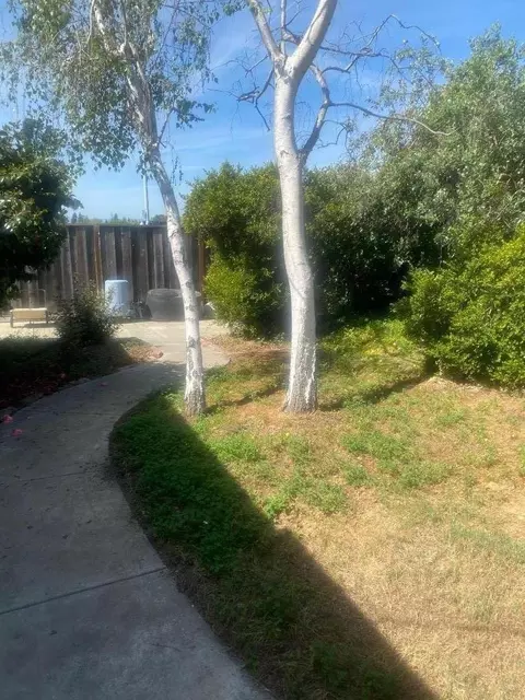 1601 Big Bend Dr, Milpitas, CA 95035 photo 5