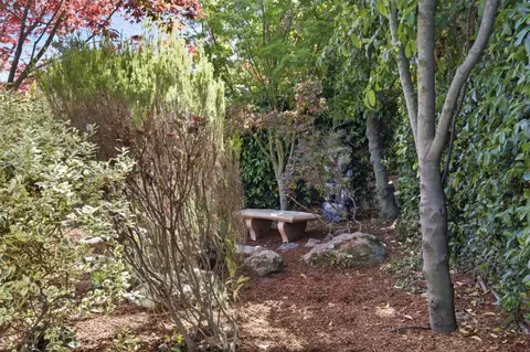 Exterior - 206 Thompson Ave, Mountain View, CA 94043 photo 9 of 16