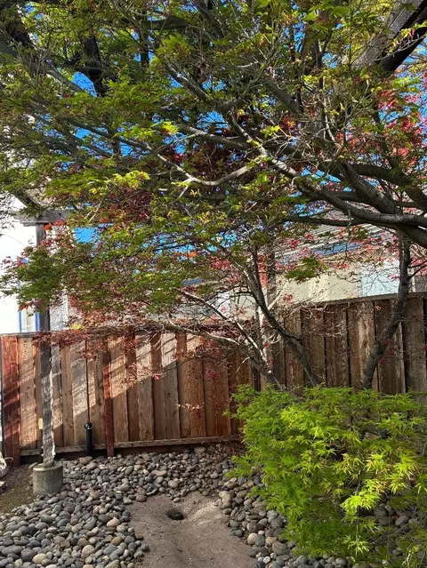 Exterior - 1536 Jackdow Ct, Gilroy, CA 95020 photo 6 of 15