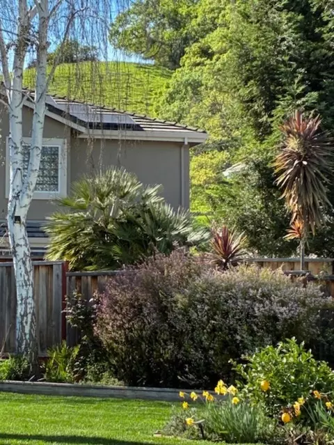 Exterior - 1536 Jackdow Ct, Gilroy, CA 95020 photo 9 of 15