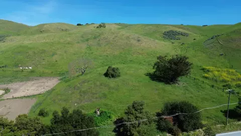 3463 Calaveras Rd, Milpitas, CA 95035 photo 7