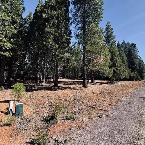 806 Red River Dr, Lake Almanor, CA 96137