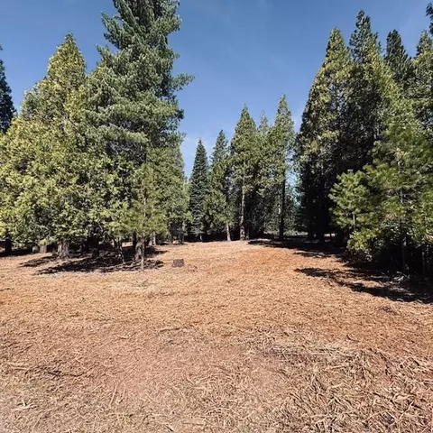 790 Red River Dr, Lake Almanor, CA 96137