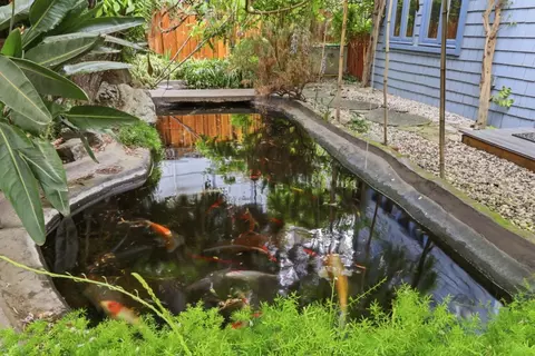 Other - 357 S 16th St, San Jose, CA 95112 photo 14 of 20