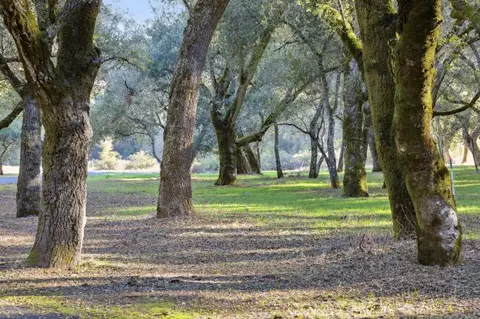 11 Arroyo Sequoia, Carmel Valley, CA 93923