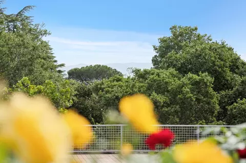 Other - 140 Ridgeway Rd, Woodside, CA 94062 photo 47 of 48