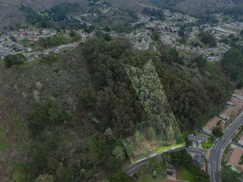 0 Everglades, Pacifica, CA 94044 photo 10