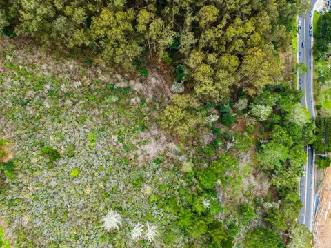 0 Everglades, Pacifica, CA 94044 photo 15