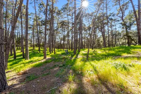 Other - 4192 Sunridge Rd, Pebble Beach, CA 93953 photo 5 of 5