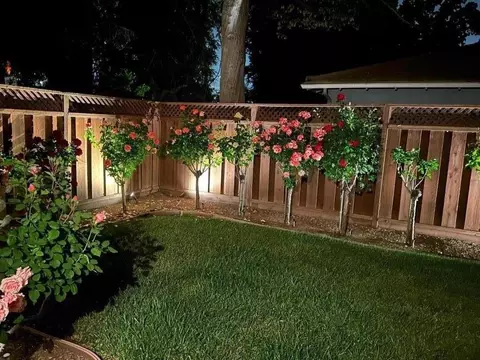 Exterior - 1701 S Springer Rd, Mountain View, CA 94040 photo 14 of 23
