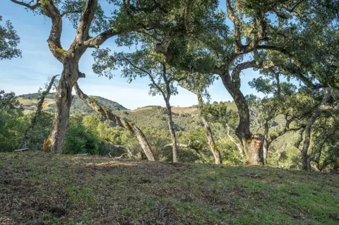 5 Vasquez Trl, Carmel Valley, CA 93923
