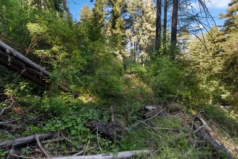 146 Starview Pl, Boulder Creek, CA 95006 photo 4