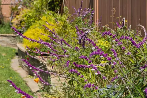 Other - 735 Montezuma Dr, Pacifica, CA 94044 photo 4 of 5
