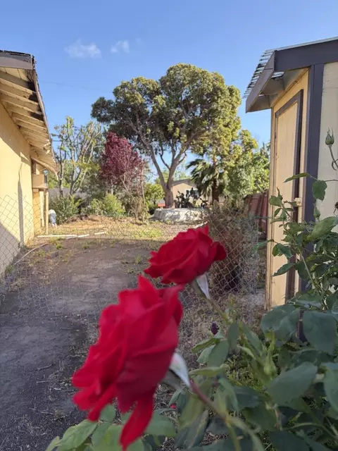 Exterior - 606 Vesper Ave, Fremont, CA 94539 photo 15 of 16