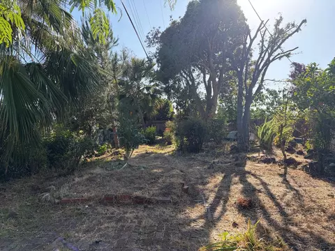 Exterior - 606 Vesper Ave, Fremont, CA 94539 photo 13 of 16